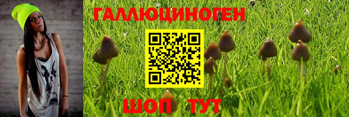Галлюциногенные грибы GOLDEN TEACHER Сальск